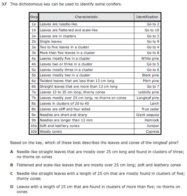2022 Staar Released Test Answer Key
